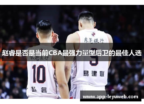 赵睿是否是当前CBA最强力量型后卫的最佳人选