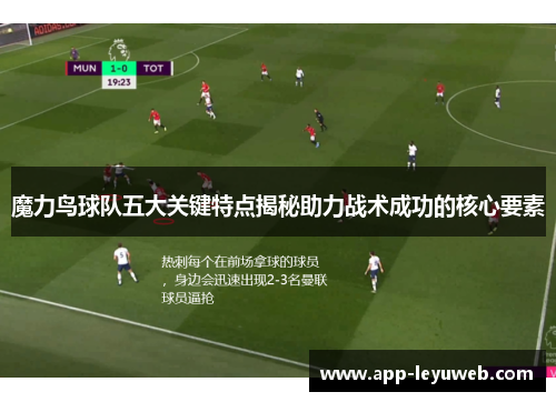 魔力鸟球队五大关键特点揭秘助力战术成功的核心要素