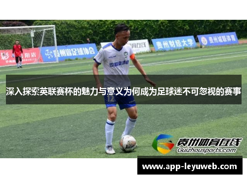 深入探索英联赛杯的魅力与意义为何成为足球迷不可忽视的赛事 深入探索英联赛杯的魅力与意义为何成为足球迷不可忽视的赛事