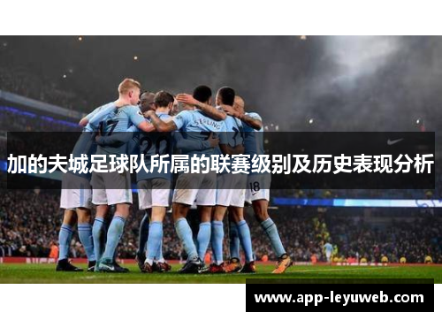加的夫城足球队所属的联赛级别及历史表现分析 加的夫城足球队所属的联赛级别及历史表现分析